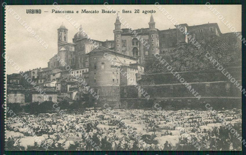 Pesaro Urbino Mercato Bestiame cartolina QZ2725 – fronte