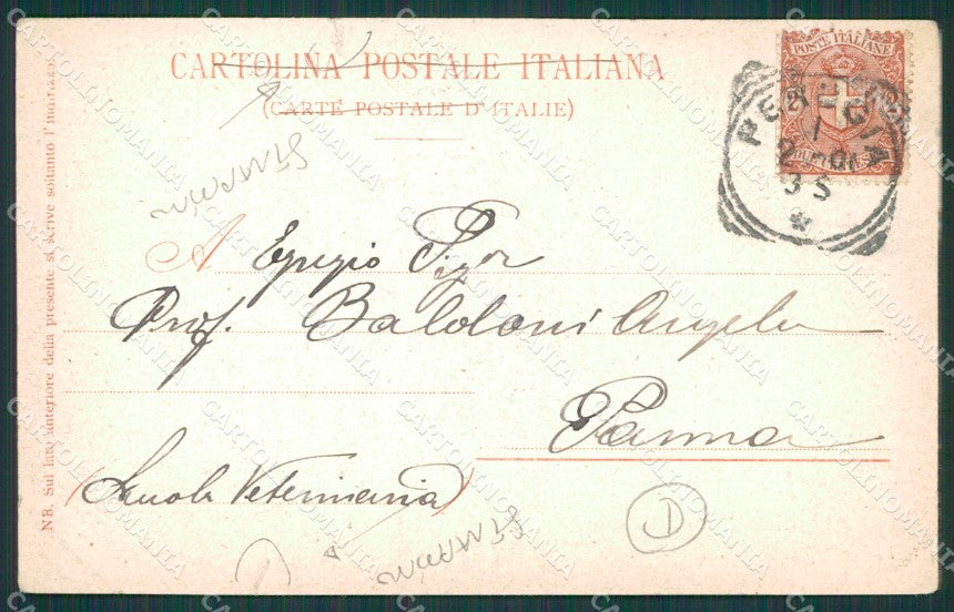 Perugia città Tram STRAPPINI cartolina QZ2859 – retro