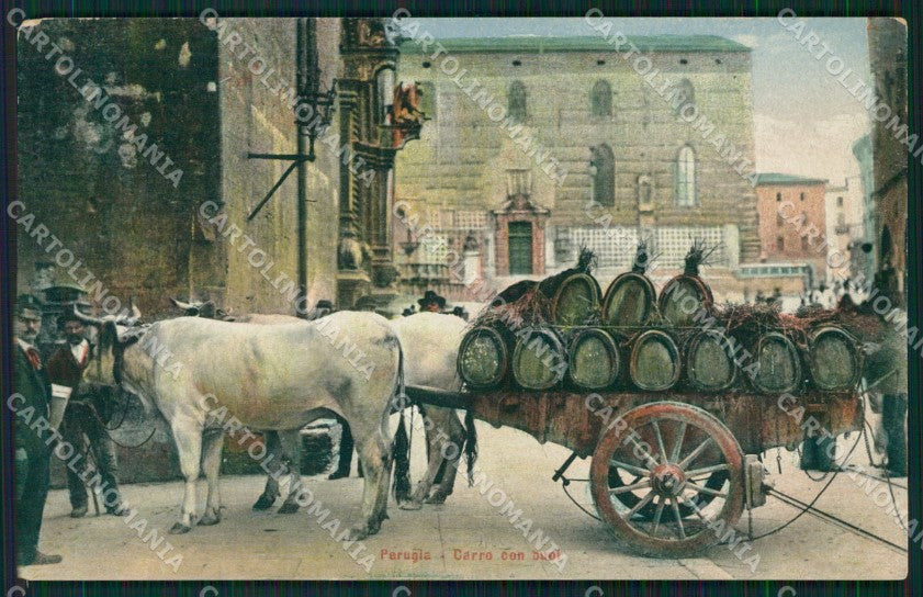 Perugia città Carro Buoi cartolina QZ2964 – fronte
