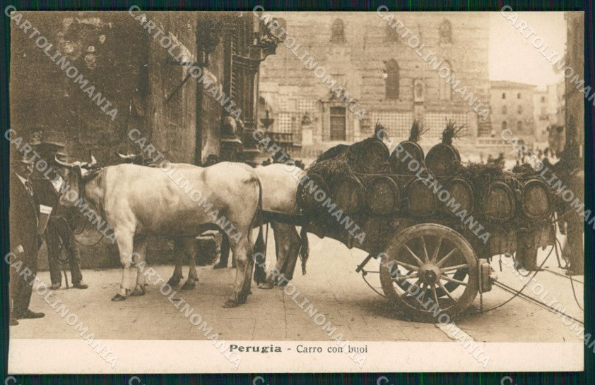 Perugia città Carro Buoi cartolina QZ2974 – fronte
