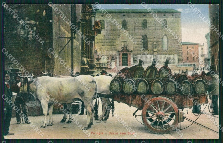 Perugia città Carro Buoi cartolina QZ2976 – fronte