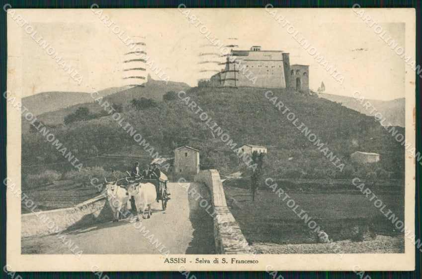 Perugia Assisi Carro Buoi STRAPPINO cartolina QZ2991 – fronte