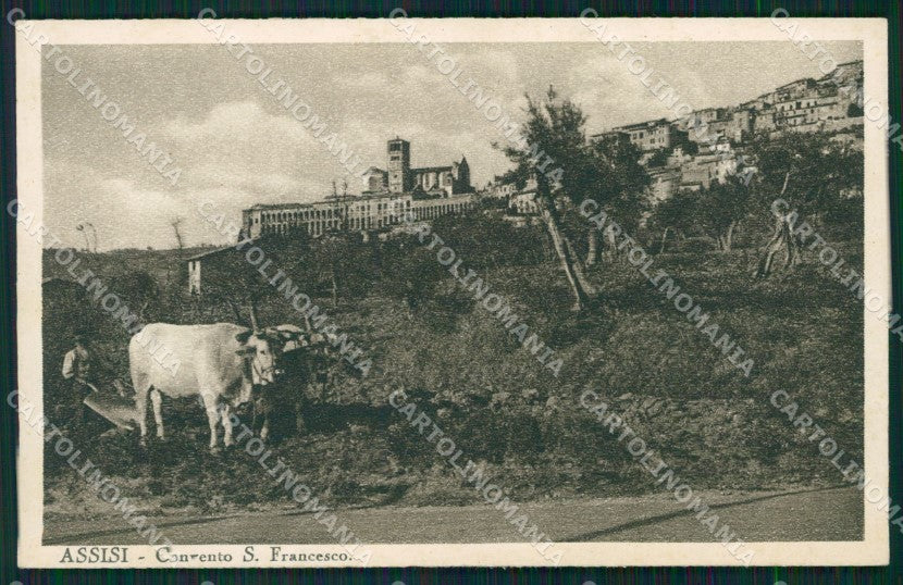 Perugia Assisi Carro Buoi cartolina QZ2994 – fronte