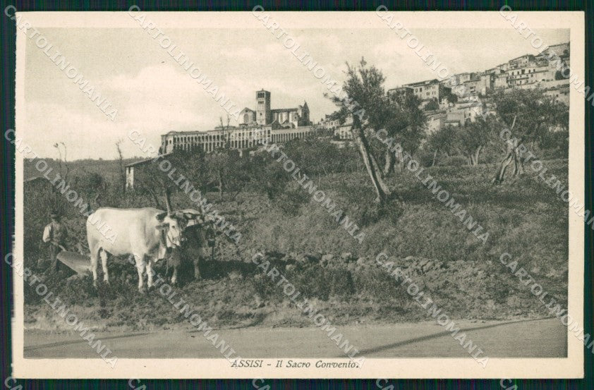 Perugia Assisi Carro Buoi cartolina QZ2995 – fronte