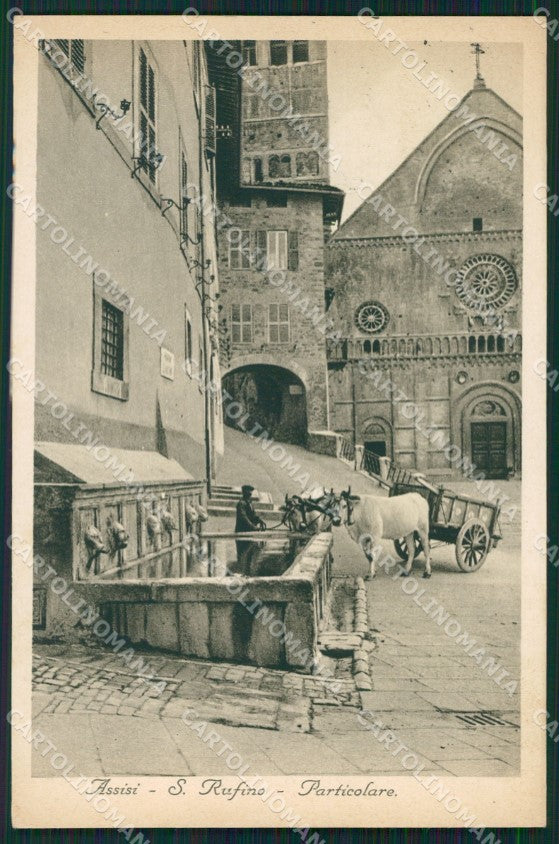 Perugia Assisi Carro Buoi cartolina QZ3002 – fronte