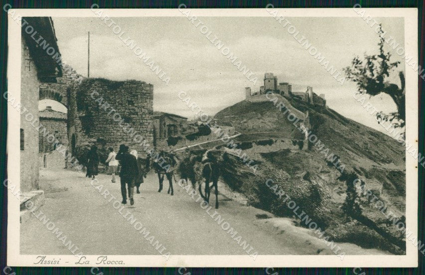 Perugia Assisi cartolina QZ3003 – fronte