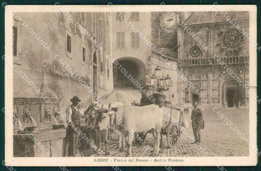 Perugia Assisi Carro Buoi cartolina QZ3018 – fronte