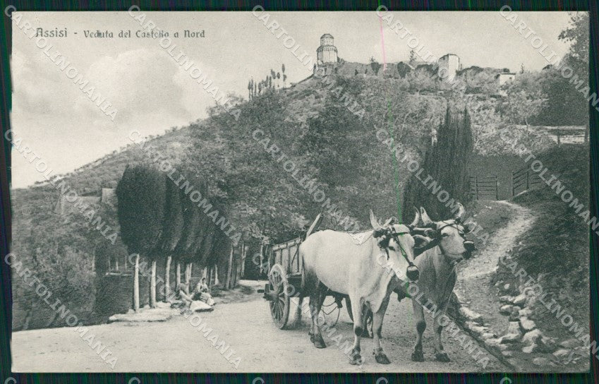 Perugia Assisi Carro Buoi cartolina QZ3020 – fronte