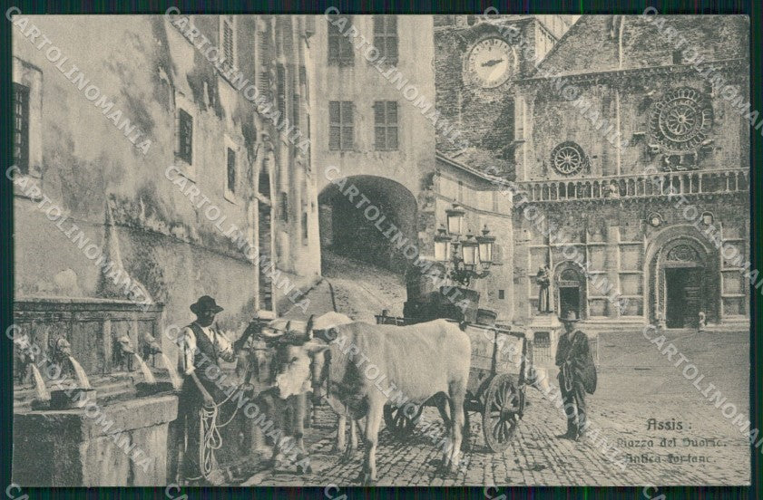 Perugia Assisi Carro Buoi cartolina QZ3029 – fronte