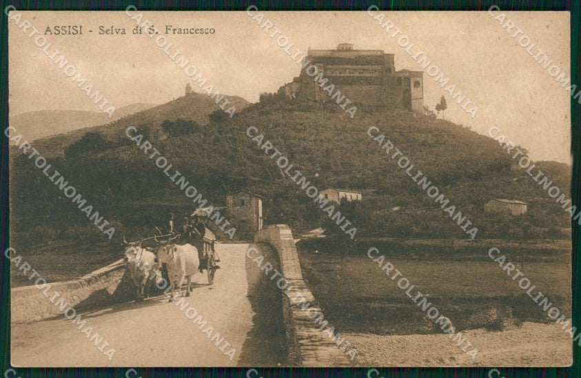 Perugia Assisi Carro Buoi cartolina QZ3039 – fronte