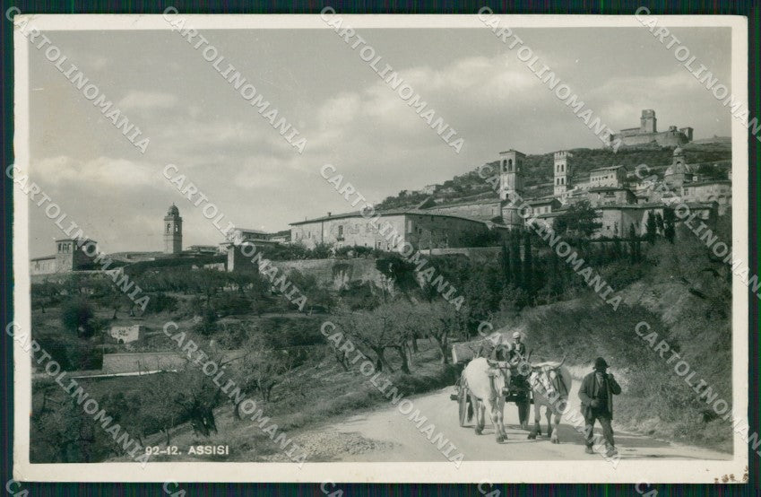 Perugia Assisi Carro Buoi Foto cartolina QZ3041 – fronte
