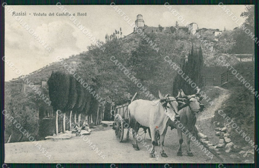 Perugia Assisi Carro Buoi cartolina QZ3044 – fronte