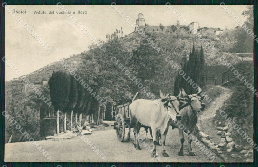 Perugia Assisi Carro Buoi cartolina QZ3045 – fronte