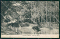 Perugia Nocera Umbra cartolina QZ3168 – fronte