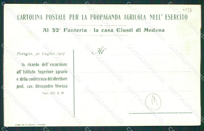 Perugia Spoleto Agricoltura cartolina QZ3199 – retro