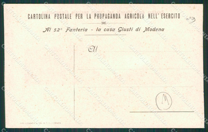 Perugia Spoleto Agricoltura cartolina QZ3200 – retro