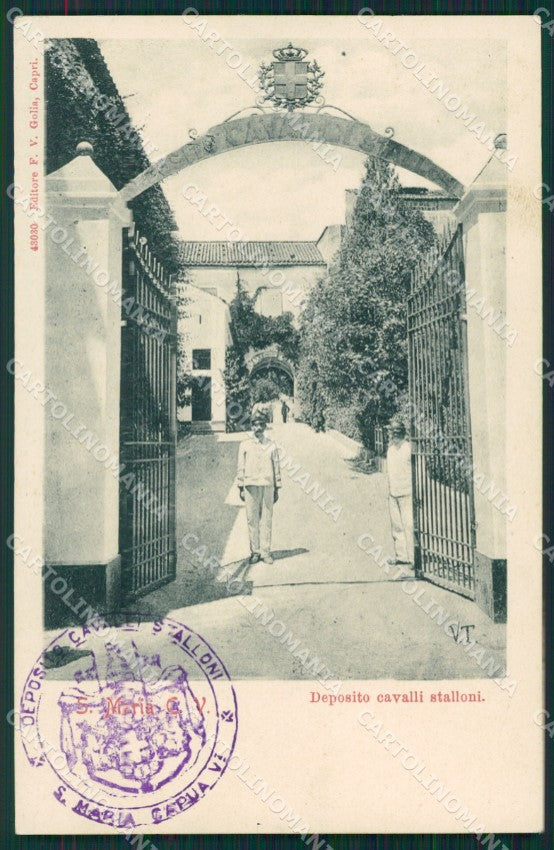 Caserta Santa Maria Capua Vetere cartolina QZ3396 – fronte
