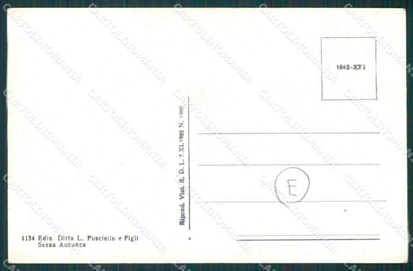 Caserta Sessa Aurunca cartolina QZ3451 – retro