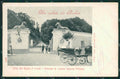 Napoli Isola Ischia Alterocca 3408 cartolina QZ3542 – fronte