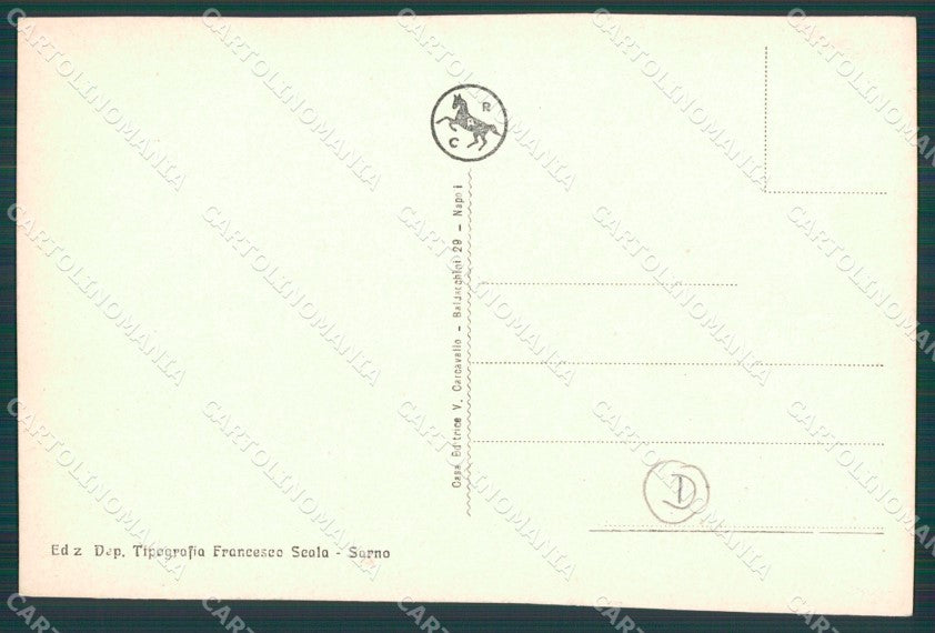 Salerno Sarno cartolina QZ3786 – retro