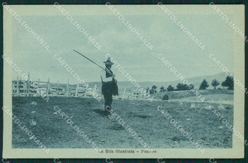 Cosenza La Sila cartolina QZ3955 – fronte