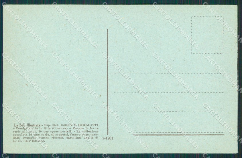 Cosenza La Sila cartolina QZ3955 – retro
