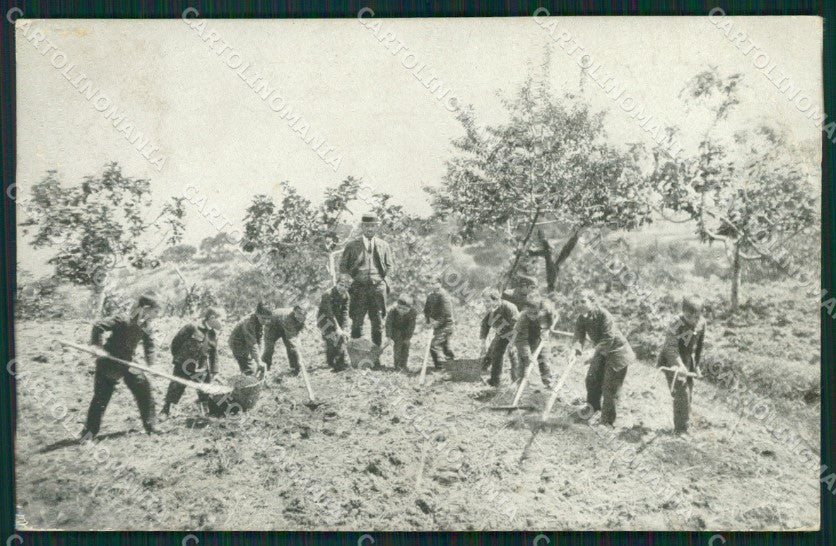 Cosenza Dipignano PIEGHE cartolina QZ3964 – fronte
