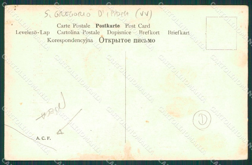 Vibo Valentia San Gregorio d'Ippona Zammarò Terremoto PIEGA cartolina QZ4185 – retro