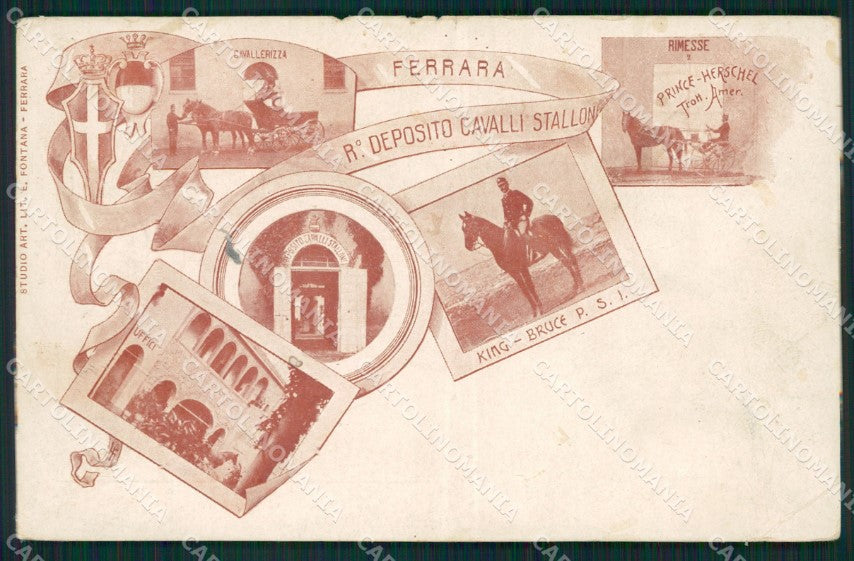 Ferrara città Militari Deposito Cavalli cartolina QZ4444 – fronte