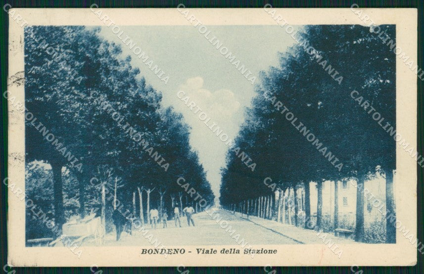 Ferrara Bondeno cartolina QZ4481 – fronte