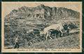 San Marino Carro Buoi cartolina QZ4699 – fronte