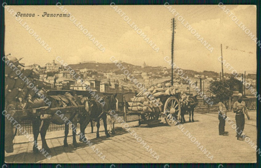 Genova Città Carretti Cavalli cartolina QZ5312 – fronte