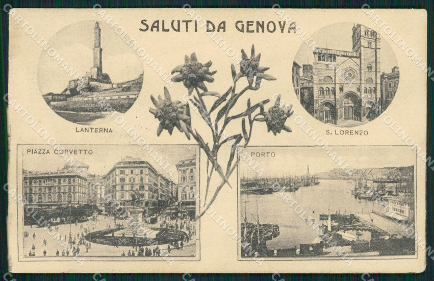 Genova Città Saluti da Stelle Alpine ABRASA cartolina QZ5542 – fronte