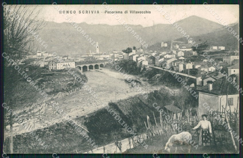 Genova Ronco Scrivia Pecora cartolina QZ6782 – fronte