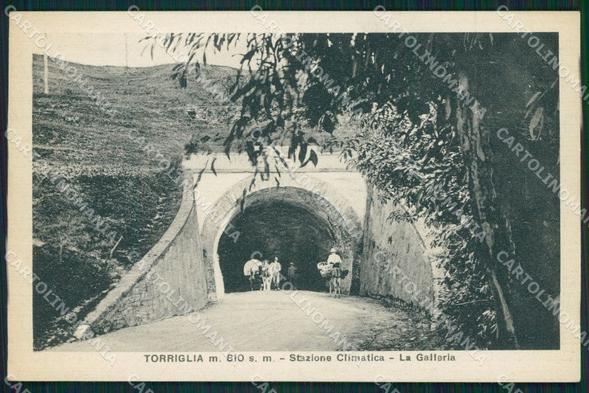 Genova Torriglia Asino cartolina QZ6815 – fronte