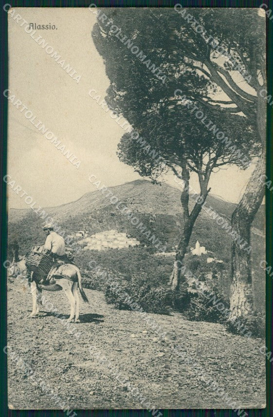 Savona Alassio Asino cartolina QZ6983 – fronte