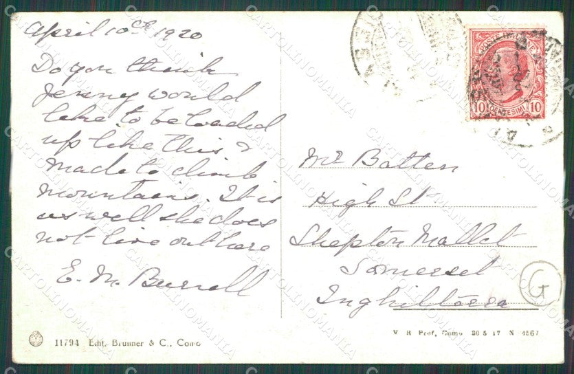 Savona Alassio Asino cartolina QZ6993 – retro