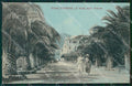 Savona Finale Ligure cartolina QZ7014 – fronte