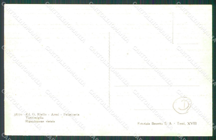 Imperia Ventimiglia Mercato dei Fiori cartolina QZ7784 – retro