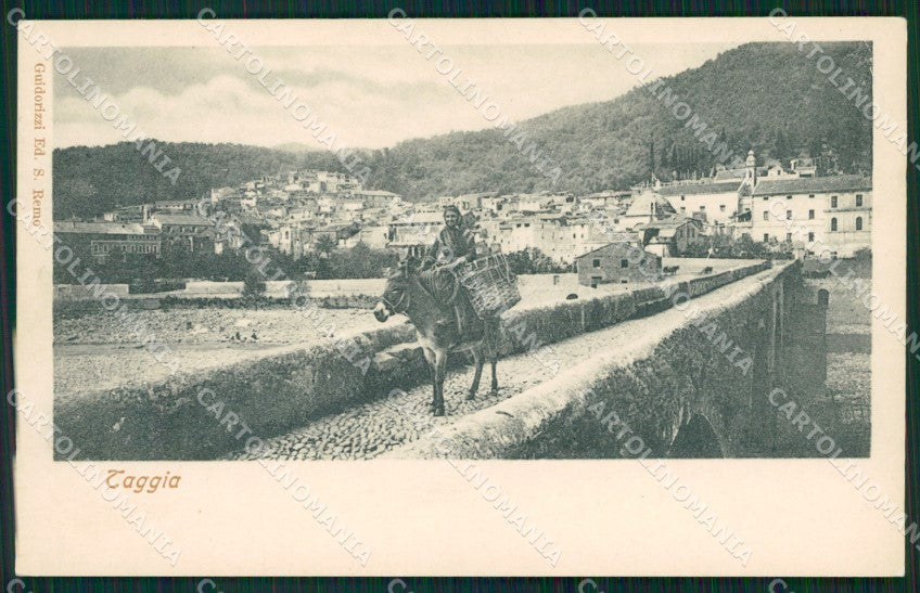 Imperia Taggia Asino cartolina QZ7936 – fronte