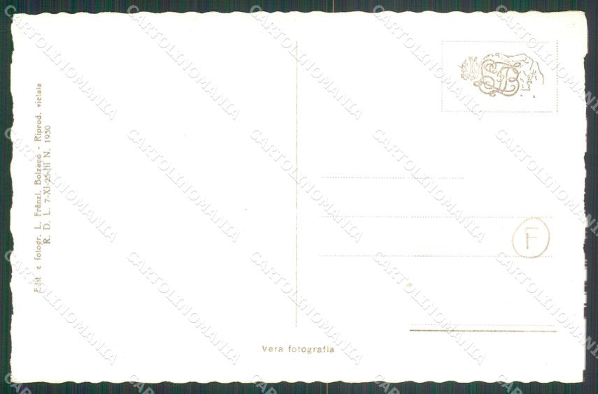 Bolzano Città Foto cartolina QZ7994 – retro