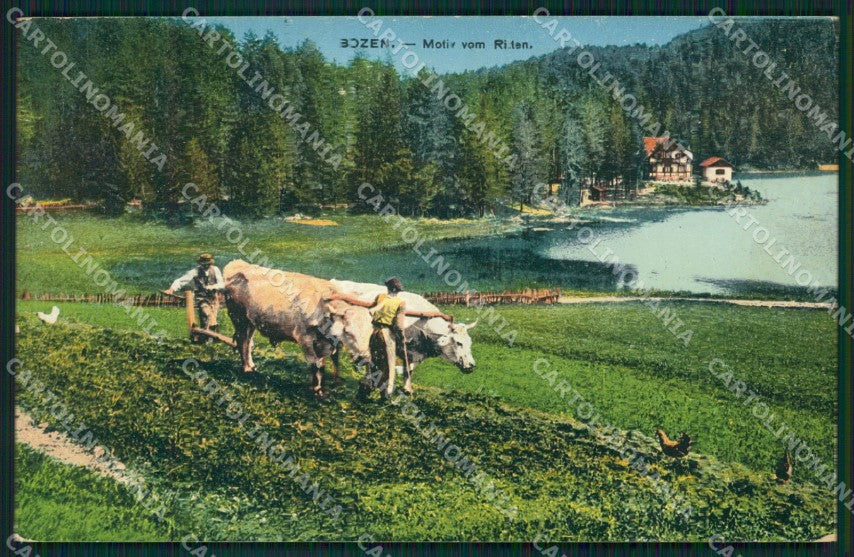 Bolzano Renon Buoi cartolina QZ8012 – fronte