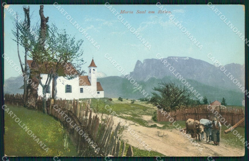 Bolzano Renon Collalbo Buoi cartolina QZ8025 – fronte