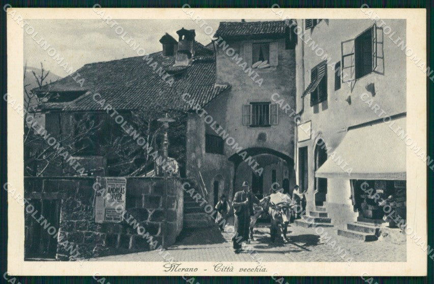 Bolzano Merano Buoi cartolina QZ8040 – fronte