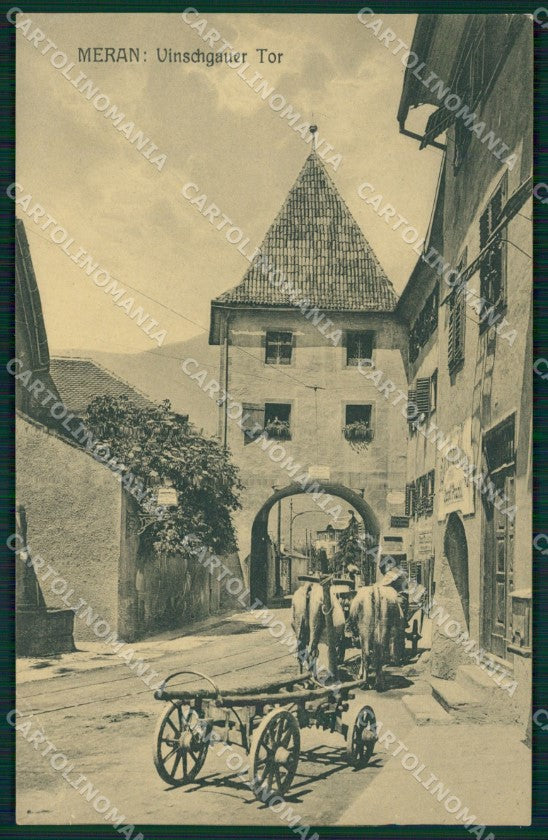 Bolzano Merano Buoi PIEGA cartolina QZ8048 – fronte