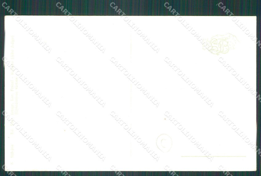 Bolzano Merano Costumi cartolina QZ8081 – retro