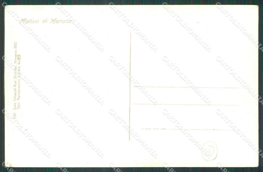Bolzano Merano Costumi Foto cartolina QZ8094 – retro