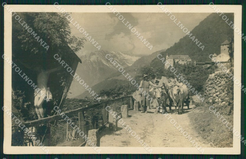 Bolzano Merano Costumi Buoi Foto cartolina QZ8097 – fronte