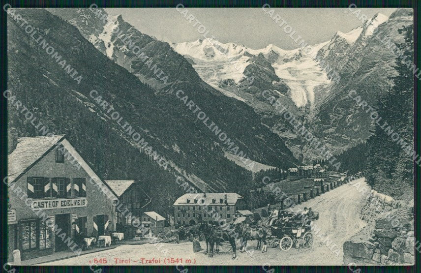 Bolzano Stelvio Trafoi Diligenza cartolina QZ8278 – fronte