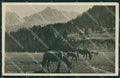 Bolzano Val Badia Cavalli PIEGHE Foto cartolina QZ8293 – fronte